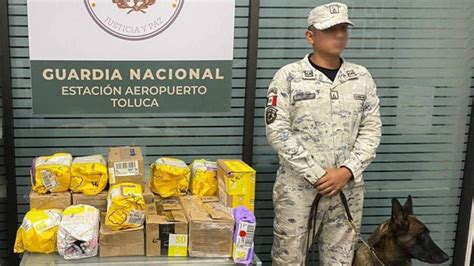 Guardia Nacional Decomisa Paquetes De Marihuana En Aeropuerto De