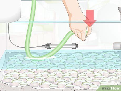 Ways To Start A Siphon Fish Tank Wikihow