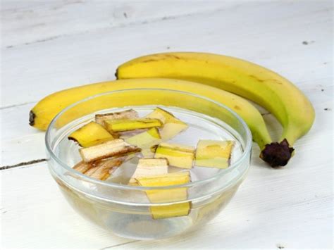 Descubrir Imagen Receta Para Hacer Agua De Platano Abzlocal Mx