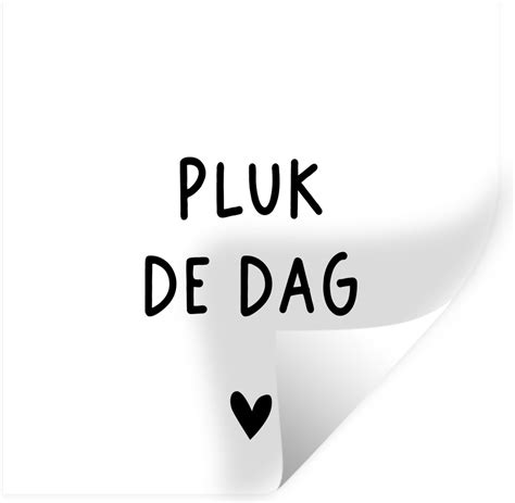 Spreuken Quotes Pluk De Dag Carpe Diem Muursticker Xxl