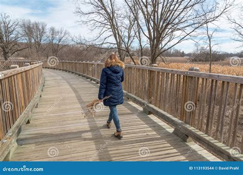 Woman Walking Across Wood Bridge Holding Wildflowers Stock Photo