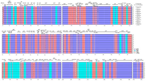 Characterization And Comparative Analysis Of Chloroplast Genomes Of