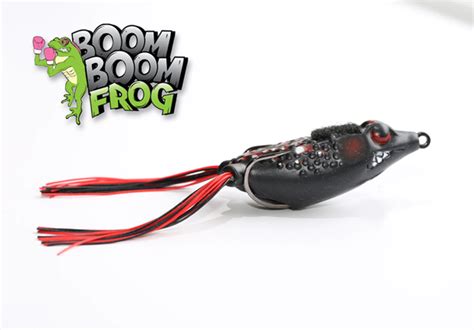 Stanford Boom Boom Frog Rock Outdoors