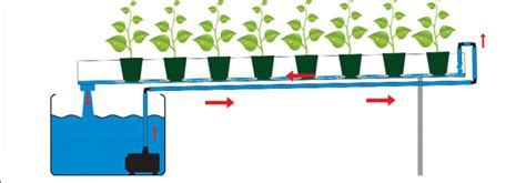 types  hydroponic system   choose