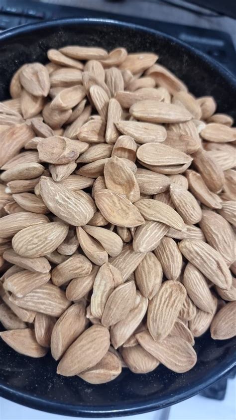 Natural Mamra Almond At Rs 2000 Kg Mamra Almonds In Mumbai ID