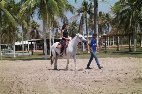 Feira De Agroneg Cio Conta Cavalgada E Shows A Partir Desta