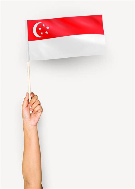 Person waving flag Republic Singapore | Free Photo - rawpixel