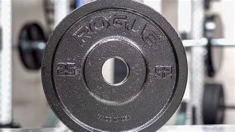 Rogue Deep Dish Plates Review Garage Gym Reviews