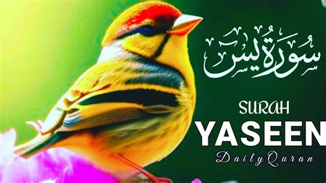 Surah Yasin Yaseen With Urdu Tarjuma Quran Tilawat Episode 0445 Quran With