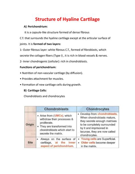 SOLUTION: Structure of hyaline cartilage - Studypool