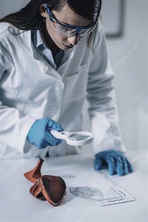 Forensics Expert Examining Crime Scene Evidence Stock Image F024