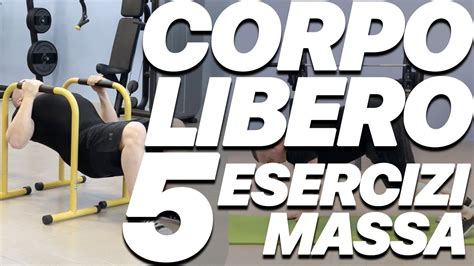 Scheda Massa Parte Alta A Corpo Libero 5 Esercizi In 2 Mq YouTube