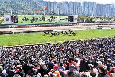 【穩步復常】賀歲馬旺丁旺財 市民大讚好頭彩 香港文匯報