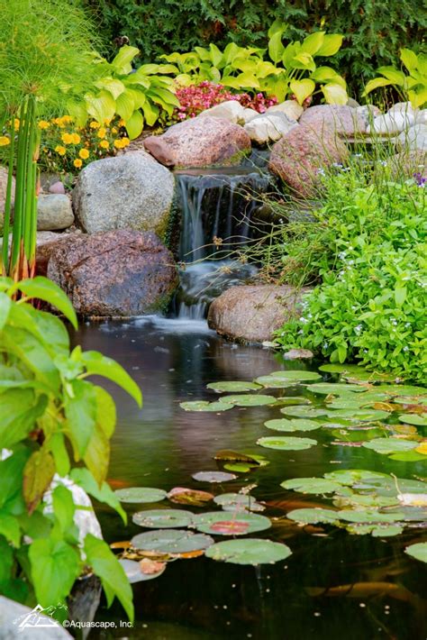 See How A Koi Pond Creates The Ultimate Backyard Masterpiece Pond And