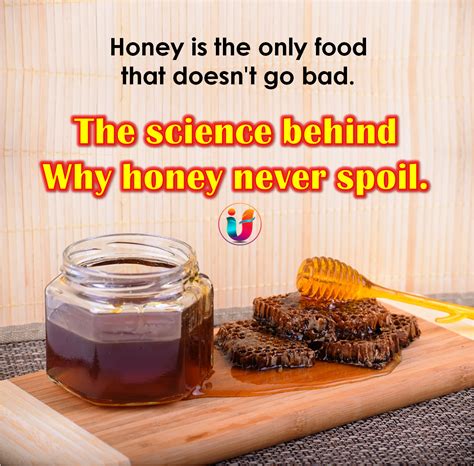 The Science Behind Why Honey Never Spoil