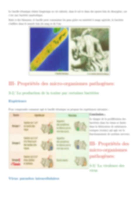 Solution Cours Parfait Les Micro Organismes Svt Tronc Commun Studypool