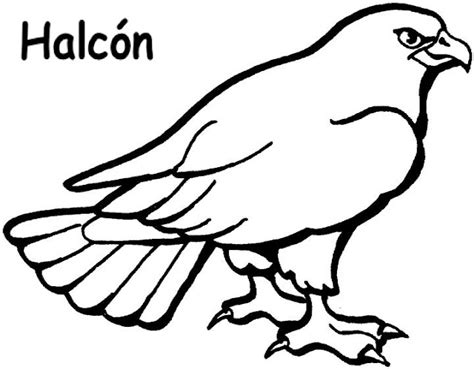 Dibujos De Halcones Para Colorear