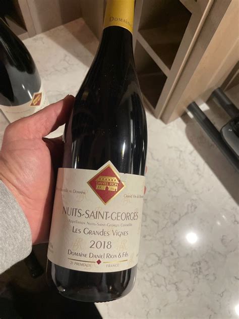 2018 Domaine Daniel Rion Et Fils Nuits St Georges Les Grandes Vignes