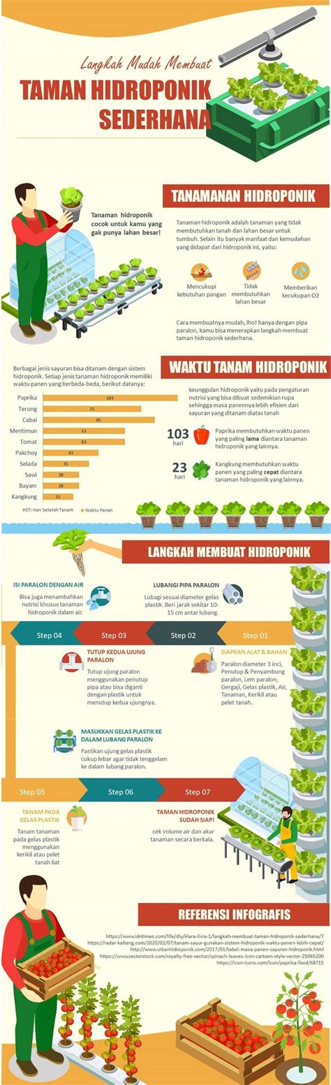 Langkah Mudah Membuat Taman Hidroponik Hidroponik Presentasi Infografis