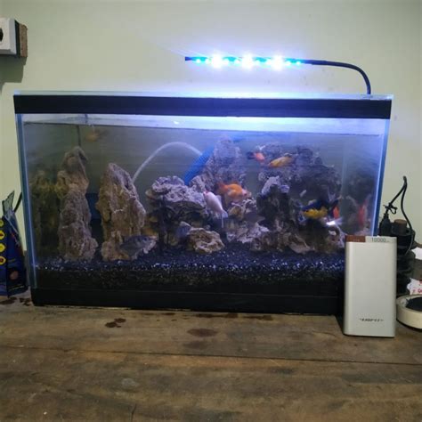 Jual Lampu Led Aquarium Biru Putih Led B Lampu Aquascape Biru Lampu