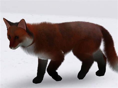 Mod The Sims Red Fox Sims Pets Sims 4 Pets Sims