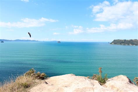 coromandel beaches  summer guide