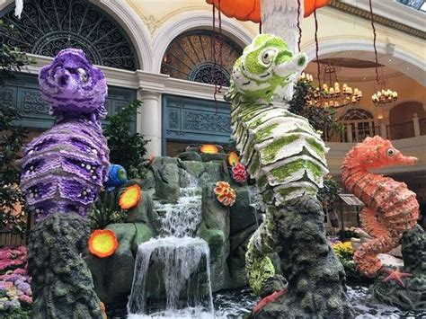 Bellagio Conservatory Debuts Summer ‘under The Sea Display — Video