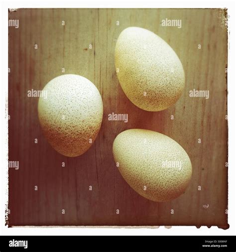 Guinea fowl eggs hi-res stock photography and images - Alamy