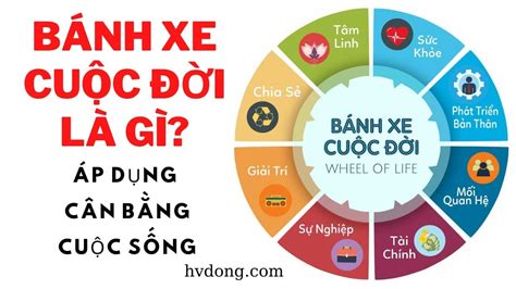 Bánh xe cuộc đời là gì Áp dụng để cân bằng trong cuộc sống YouTube