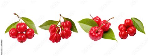 Ripe Pitanga Fruit Surinam Cherry Brazilian Cherry French Cherry