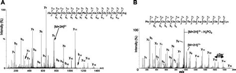 Sequencing Of Peptides Using Msms Peptide Fragmentation By