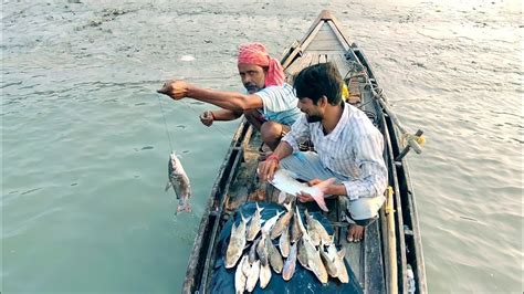 আজ ভরা কোটালে বড়শি দিয়ে 12 Kg চরগোদা পেলাম Naturalsundarban Youtube