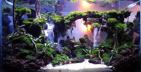 CARA MEMBUAT AQUASCAPE TEMA AIR TERJUN Aqua One Design 44 OFF