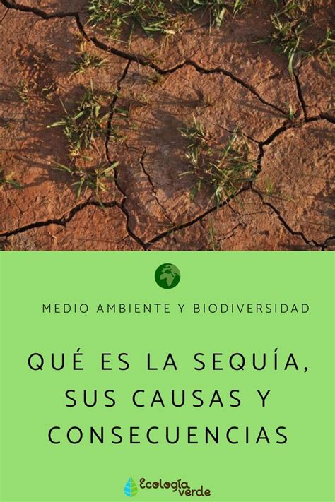 Qué Es La Sequía Sus Causas Y Consecuencias Resumen Sequía Ecología Profunda Educacion