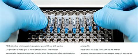 Pcr Strip Tubes Alliance Meds