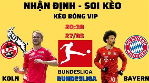 NhẬn ĐỊnh Koln Vs Bayern 20h30 27 5 VÒng CuỐi Bundesliga KÈo BÓng