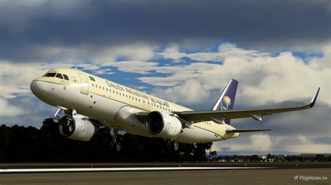 Detail Saudi Arabia Airlines Logo Png Koleksi Nomer 51