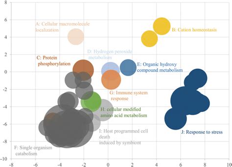 Bubble Plot With Superclusters Of The Top 50 Gene Ontology Go Terms