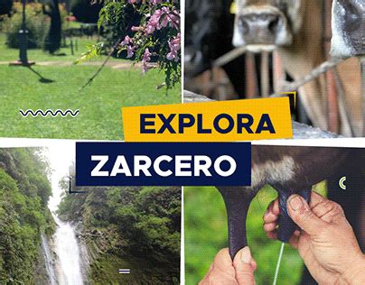 Zarcero Projects | Photos, videos, logos, illustrations and branding on ...