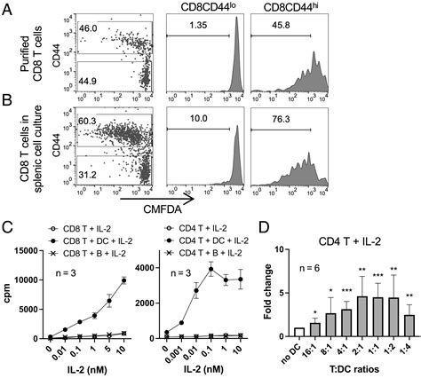 Accessory Cells Precondition Naïve T Cells And Regulatory T Cells For Cytokine Mediated