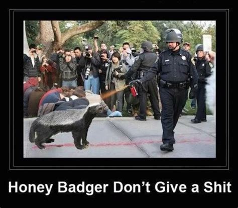 Image Honey Badger Know Your Meme