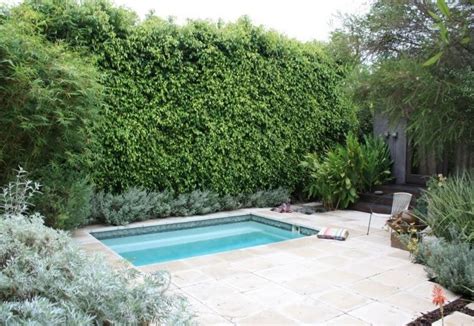 Spas - Venice, CA - Photo Gallery - Landscaping Network