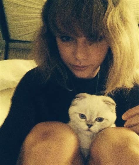 Taylor Swift Taylor Swift Cat Taylor Swift Pictures Taylor