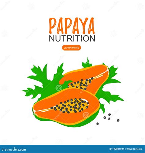 Papaya Nutrition Facts And Health Benefits Infographic Vector