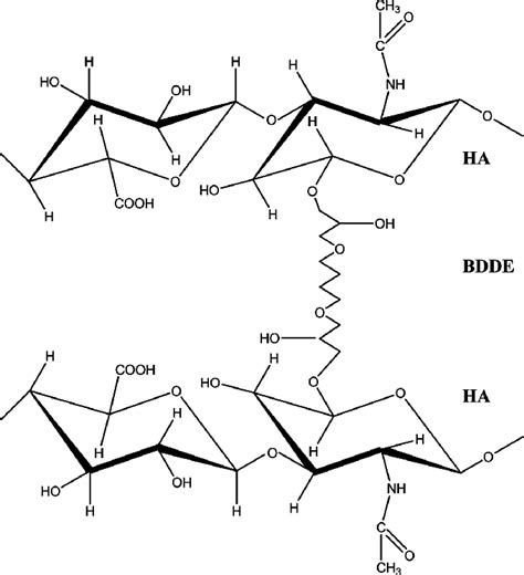 Chemical Structure Of Crosslinked Ha With Bdde Download Scientific