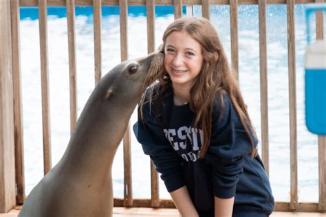 Encounters - Gulfarium Marine Adventure Park