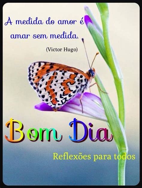 Bom Dia Reflexao Para Todos Ideas In Frasesdemotivacao