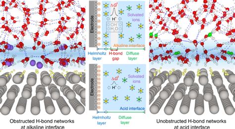 Hydrogen Bond Network Connectivity In The Electric Double Layer