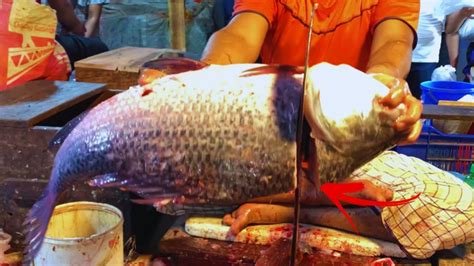 Incredible Big Katla Fish Cutting In Fish Market Fish Cutting Skills