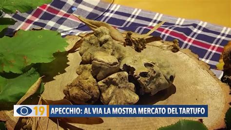 Apecchio Al Via La Mostra Mercato Del Tartufo Youtube